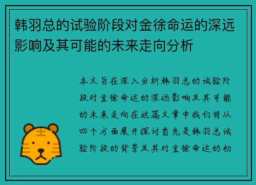 韩羽总的试验阶段对金徐命运的深远影响及其可能的未来走向分析