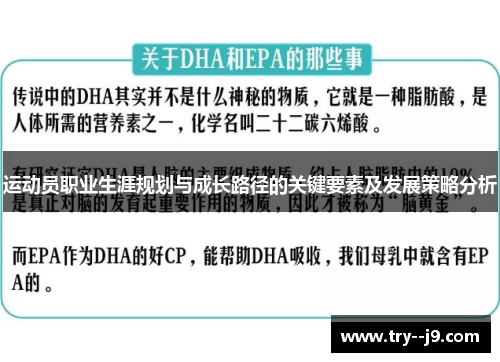 运动员职业生涯规划与成长路径的关键要素及发展策略分析